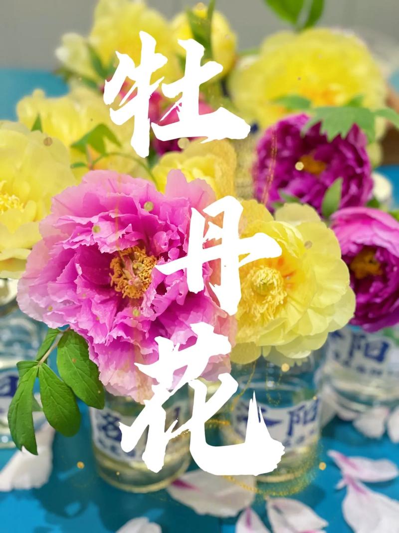 在洛阳，实现牡丹鲜花自由——荟里文创的春日馈赠