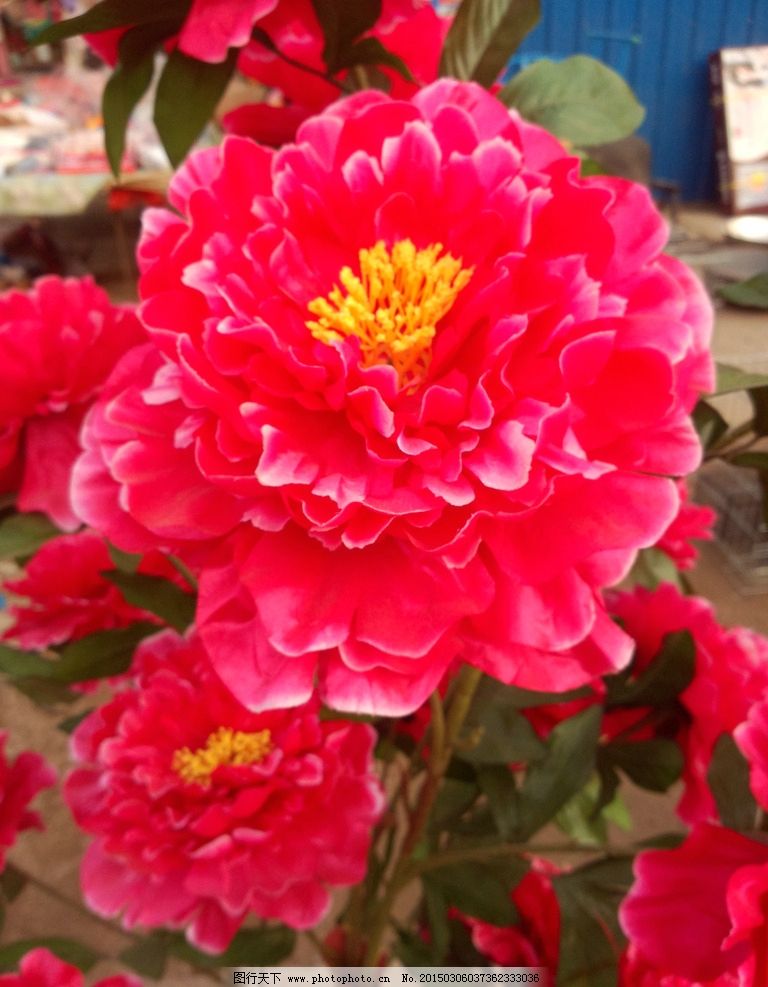 仿真牡丹花图片